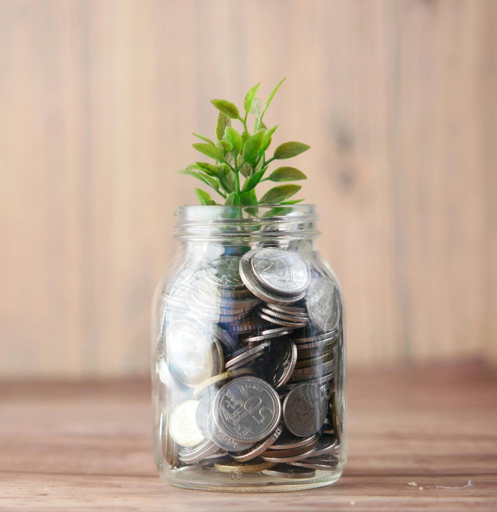 A glass jar filled with coins with a small green plant growing out of it.